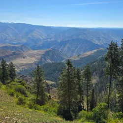 Wallowa-Whitman National Forest - La Grande