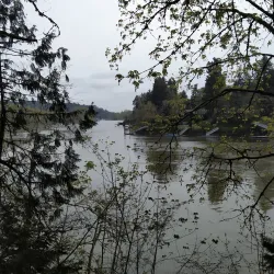 George Rogers Park - Lake Oswego