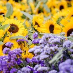 Lake Oswego Farmers' Market - Lake Oswego