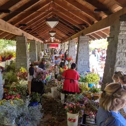 Lake Oswego Farmers' Market - Lake Oswego