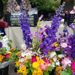 Lake Oswego Farmers' Market - Lake Oswego
