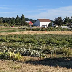 Lake Oswego Public Golf Course - Lake Oswego