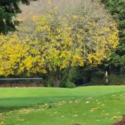 Lake Oswego Public Golf Course - Lake Oswego