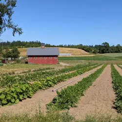 Lake Oswego Public Golf Course - Lake Oswego