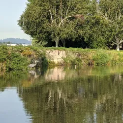 Lakeshore Park - Lake Oswego