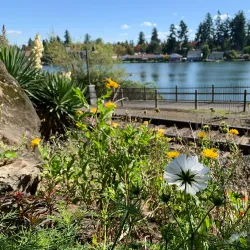 Oswego Lake - Lake Oswego