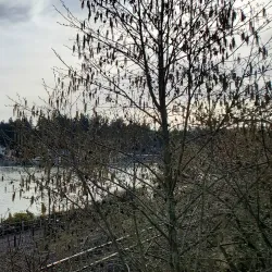 Oswego Lake - Lake Oswego