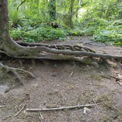 Tryon Creek State Natural Area - Lake Oswego