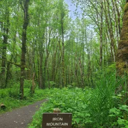 Tryon Creek State Natural Area - Lake Oswego