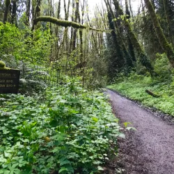 Tryon Creek State Natural Area - Lake Oswego
