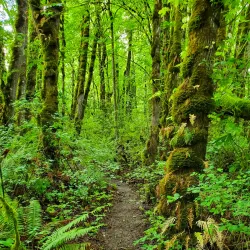 Joe Dancer Park - McMinnville