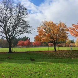Joe Dancer Park - McMinnville