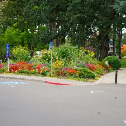 Linfield University - McMinnville