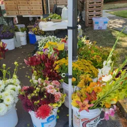 McMinnville Farmers Market - McMinnville