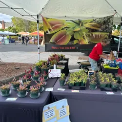 McMinnville Farmers Market - McMinnville