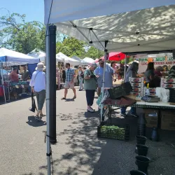 McMinnville Farmers Market - McMinnville