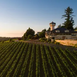 Willamette Valley Vineyards - McMinnville