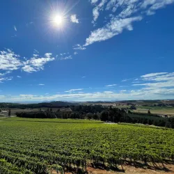 Willamette Valley Vineyards - McMinnville