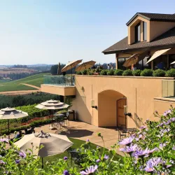 Willamette Valley Vineyards - McMinnville