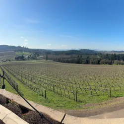 Willamette Valley Vineyards - McMinnville
