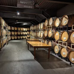 Willamette Valley Vineyards - McMinnville