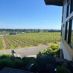 Wine Tasting in Willamette Valley - McMinnville