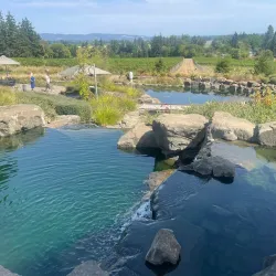 Wine Tasting in Willamette Valley - McMinnville