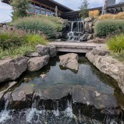 Wine Tasting in Willamette Valley - McMinnville