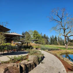 Wine Tasting in Willamette Valley - McMinnville