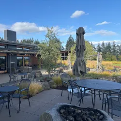 Wine Tasting in Willamette Valley - McMinnville