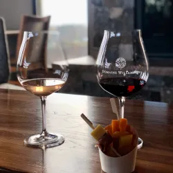 Wine Tasting in Willamette Valley - McMinnville