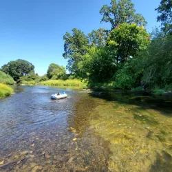 Yamhill River - McMinnville