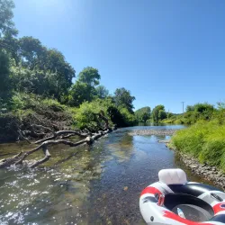 Yamhill River - McMinnville