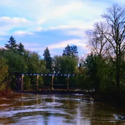 Yamhill River - McMinnville