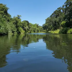 Yamhill River - McMinnville