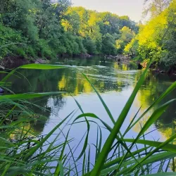 Yamhill River - McMinnville