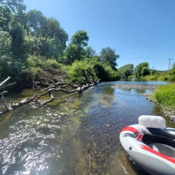 Yamhill River - McMinnville