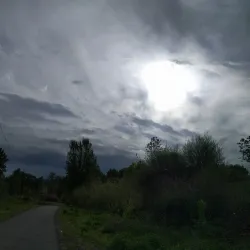 Bear Creek Greenway - Medford