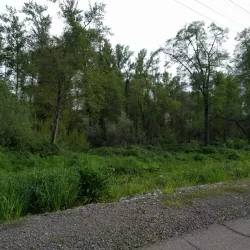 Bear Creek Greenway - Medford