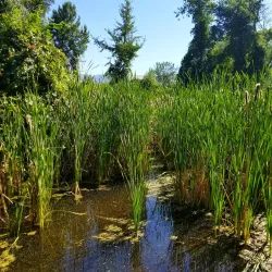 Bear Creek Greenway - Medford
