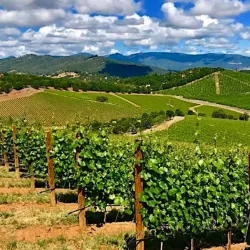 Historic Downtown Medford - Medford