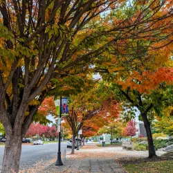 Historic Downtown Medford - Medford