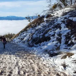 Roxy Ann Peak - Medford