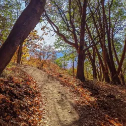 Roxy Ann Peak - Medford