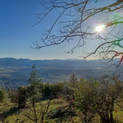 Roxy Ann Peak - Medford