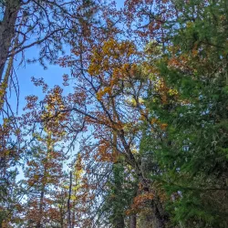 Roxy Ann Peak - Medford