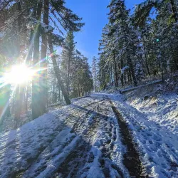 Roxy Ann Peak - Medford