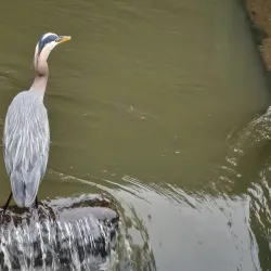 Milwaukie Bay Park - Milwaukie