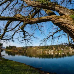 Milwaukie Bay Park - Milwaukie
