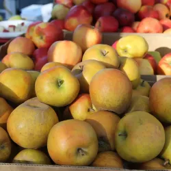 Milwaukie Farmers Market - Milwaukie